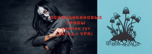прущий лед Заводоуковск