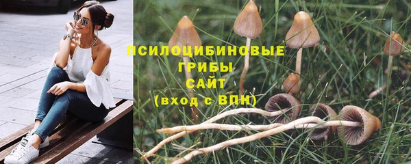 MDMA Ельня