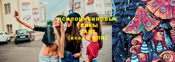 СК Елабуга
