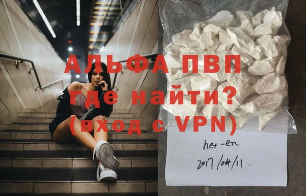 СК Елабуга
