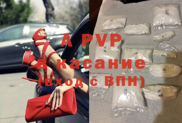 СК Елабуга
