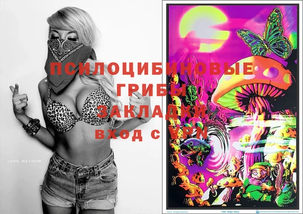 СК Елабуга