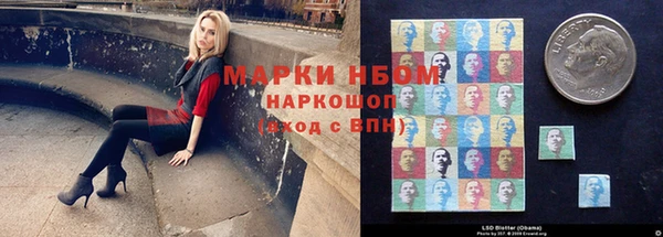 СК Елабуга